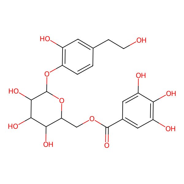 2D Structure of [(2S,3R,4R,5S,6R)-3,4,5-trihydroxy-6-[2-hydroxy-4-(2-hydroxyethyl)phenoxy]oxan-2-yl]methyl 3,4,5-trihydroxybenzoate
