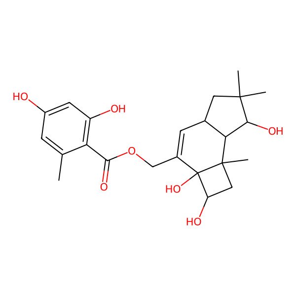 2D Structure of [(2R,2aS,4aS,7R,7aR,7bR)-2,2a,7-trihydroxy-6,6,7b-trimethyl-1,2,4a,5,7,7a-hexahydrocyclobuta[e]inden-3-yl]methyl 2,4-dihydroxy-6-methylbenzoate
