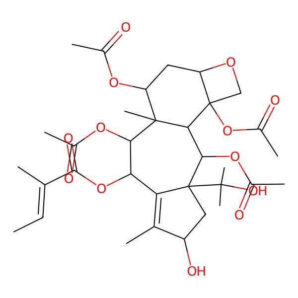 2D Structure of [(1R,2S,3S,5S,8R,9R,10S,11S,13R,16S)-2,9,11,16-tetraacetyloxy-5-hydroxy-3-(2-hydroxypropan-2-yl)-6,10-dimethyl-14-oxatetracyclo[8.6.0.03,7.013,16]hexadec-6-en-8-yl] (E)-2-methylbut-2-enoate