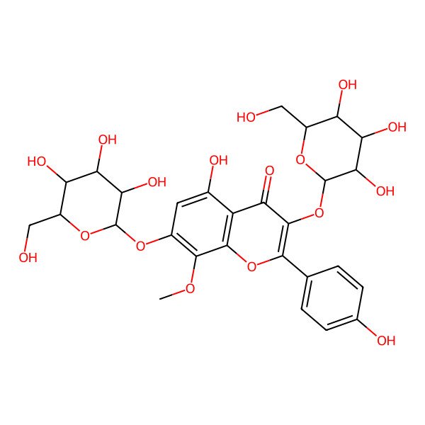 2D Structure of 5-hydroxy-2-(4-hydroxyphenyl)-8-methoxy-7-[(2S,3R,4S,5S,6R)-3,4,5-trihydroxy-6-(hydroxymethyl)oxan-2-yl]oxy-3-[(2S,3S,4R,5S,6S)-3,4,5-trihydroxy-6-(hydroxymethyl)oxan-2-yl]oxychromen-4-one