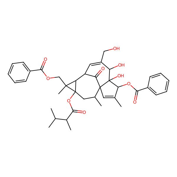 2D Structure of [4-Benzoyloxy-12-(2,3-dimethylbutanoyloxy)-5,6-dihydroxy-7-(hydroxymethyl)-3,11,14-trimethyl-15-oxo-11-tetracyclo[7.5.1.01,5.010,12]pentadeca-2,7-dienyl]methyl benzoate