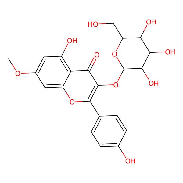 2D Structure of 5-Hydroxy-2-(4-hydroxyphenyl)-7-methoxy-3-[3,4,5-trihydroxy-6-(hydroxymethyl)oxan-2-yl]oxychromen-4-one