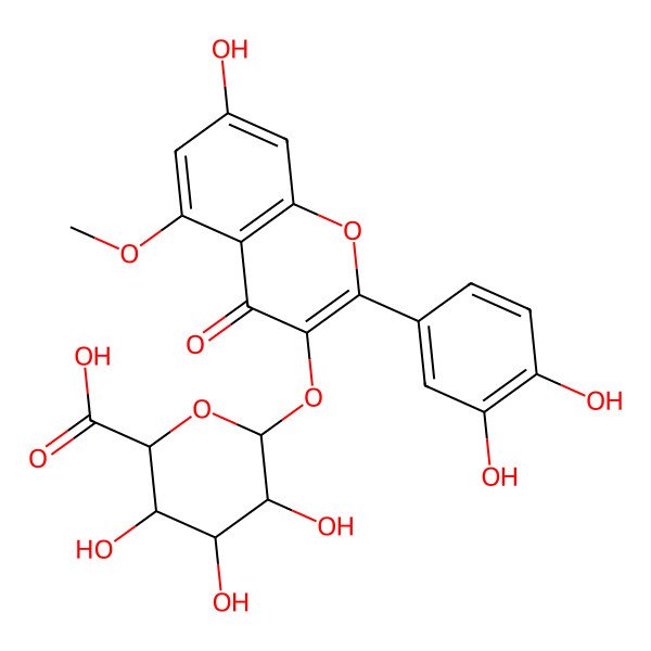 2D Structure of (2S,3S,4S,5R,6S)-6-[2-(3,4-dihydroxyphenyl)-7-hydroxy-5-methoxy-4-oxochromen-3-yl]oxy-3,4,5-trihydroxyoxane-2-carboxylic acid