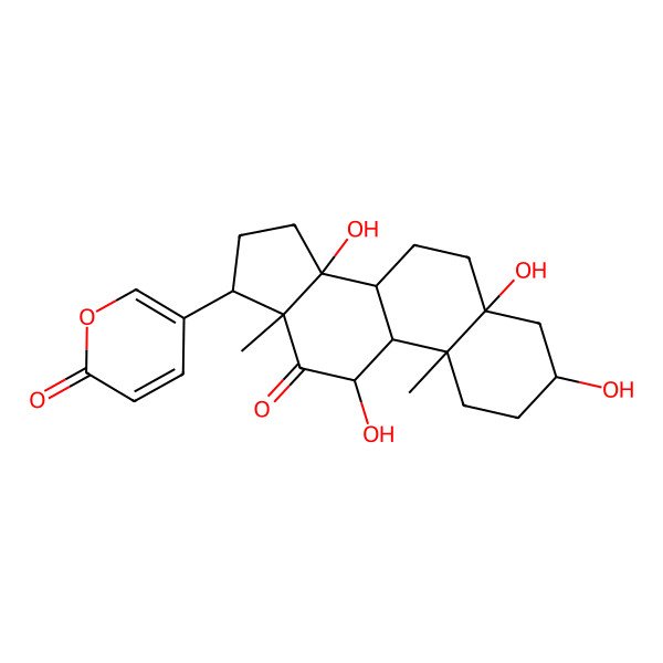 2D Structure of 5-[(3S,5S,8R,9S,10R,11S,13R,14S,17R)-3,5,11,14-tetrahydroxy-10,13-dimethyl-12-oxo-1,2,3,4,6,7,8,9,11,15,16,17-dodecahydrocyclopenta[a]phenanthren-17-yl]pyran-2-one