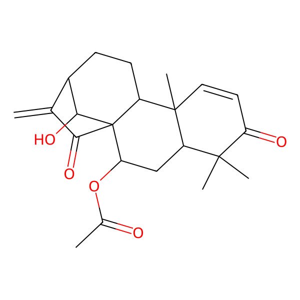 2D Structure of [(1S,2R,4S,9R,10S,13S,16R)-16-hydroxy-5,5,9-trimethyl-14-methylidene-6,15-dioxo-2-tetracyclo[11.2.1.01,10.04,9]hexadec-7-enyl] acetate