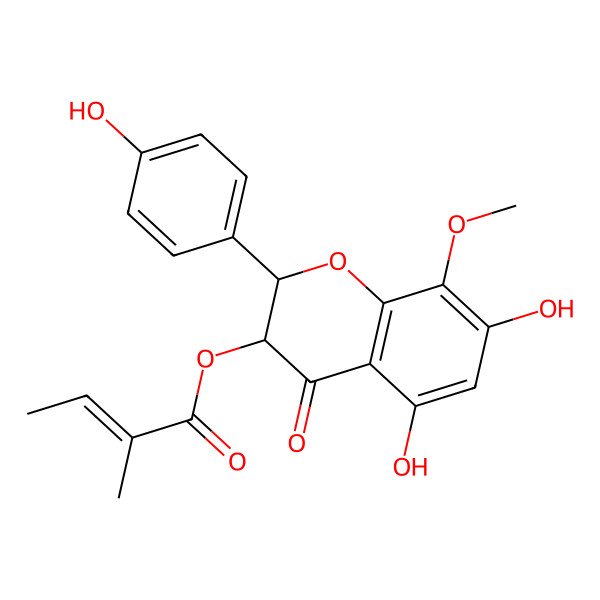 2D Structure of [(2S,3R)-5,7-dihydroxy-2-(4-hydroxyphenyl)-8-methoxy-4-oxo-2,3-dihydrochromen-3-yl] (Z)-2-methylbut-2-enoate