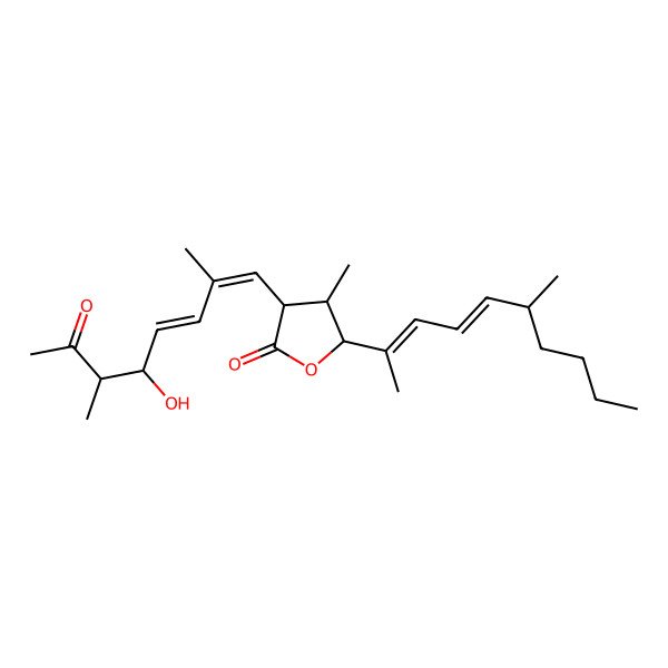 2D Structure of (3S,4S,5S)-3-[(1E,3E,5S,6R)-5-hydroxy-2,6-dimethyl-7-oxoocta-1,3-dienyl]-4-methyl-5-[(2E,4E,6R)-6-methyldeca-2,4-dien-2-yl]oxolan-2-one