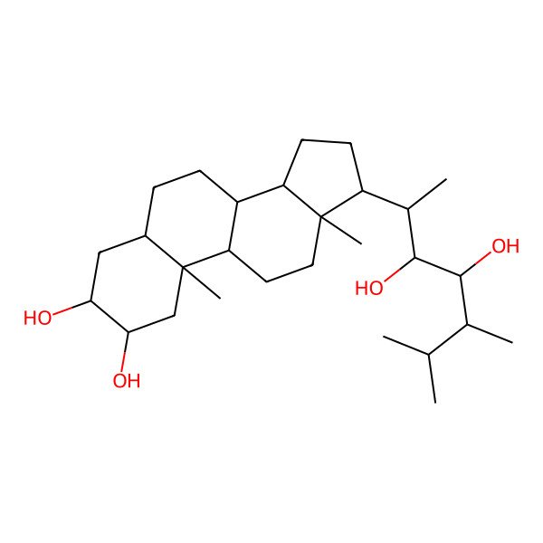 2D Structure of (2R,3S,5S,8S,9S,10S,13S,14S,17S)-17-[(2S,3R,4R,5S)-3,4-dihydroxy-5,6-dimethylheptan-2-yl]-10,13-dimethyl-2,3,4,5,6,7,8,9,11,12,14,15,16,17-tetradecahydro-1H-cyclopenta[a]phenanthrene-2,3-diol