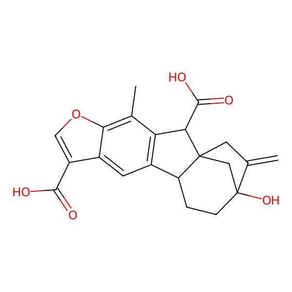 2D Structure of (1S,2R,12R,15S)-15-hydroxy-4-methyl-16-methylidene-6-oxapentacyclo[13.2.1.01,12.03,11.05,9]octadeca-3(11),4,7,9-tetraene-2,8-dicarboxylic acid