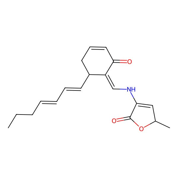2D Structure of (2R)-4-[[(Z)-[(6S)-6-[(1E,3E)-hepta-1,3-dienyl]-2-oxocyclohex-3-en-1-ylidene]methyl]amino]-2-methyl-2H-furan-5-one
