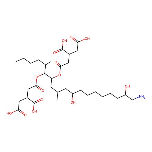 2D Structure of 2-[2-[19-Amino-6-(3,4-dicarboxybutanoyloxy)-11,18-dihydroxy-5,9-dimethylnonadecan-7-yl]oxy-2-oxoethyl]butanedioic acid
