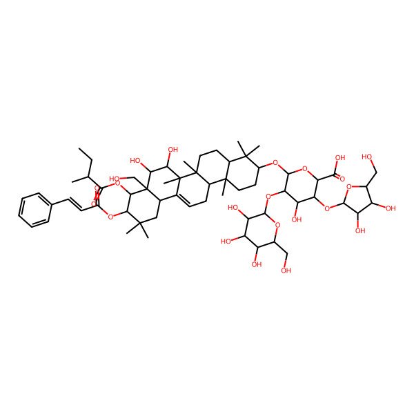 2D Structure of (2S,3S,4S,5R,6R)-6-[[(3S,4aR,6aR,6bS,7R,8S,8aR,9R,10R,12aS,14aR,14bR)-7,8-dihydroxy-8a-(hydroxymethyl)-4,4,6a,6b,11,11,14b-heptamethyl-9-[(2R)-2-methylbutanoyl]oxy-10-[(E)-3-phenylprop-2-enoyl]oxy-1,2,3,4a,5,6,7,8,9,10,12,12a,14,14a-tetradecahydropicen-3-yl]oxy]-3-[(2S,3R,4R,5S)-3,4-dihydroxy-5-(hydroxymethyl)oxolan-2-yl]oxy-4-hydroxy-5-[(2S,3R,4S,5S,6R)-3,4,5-trihydroxy-6-(hydroxymethyl)oxan-2-yl]oxyoxane-2-carboxylic acid