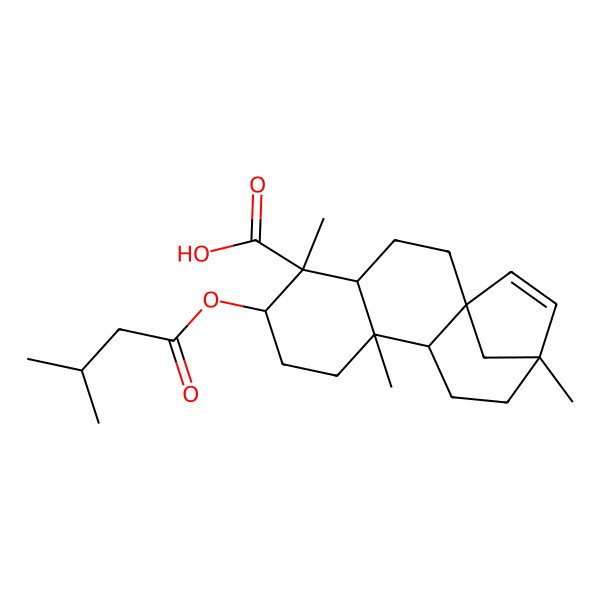 2D Structure of (1R,4S,5S,6R,9S,10S,13S)-5,9,13-trimethyl-6-(3-methylbutanoyloxy)tetracyclo[11.2.1.01,10.04,9]hexadec-14-ene-5-carboxylic acid