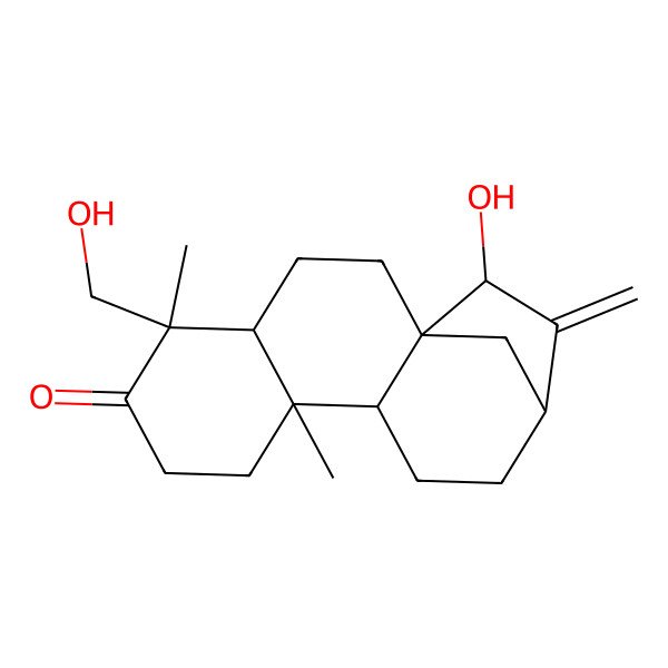 2D Structure of (1R,4S,5S,9S,10S,13R,15R)-15-hydroxy-5-(hydroxymethyl)-5,9-dimethyl-14-methylidenetetracyclo[11.2.1.01,10.04,9]hexadecan-6-one