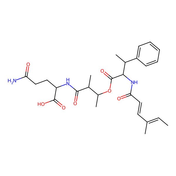 2D Structure of 5-Amino-2-[[2-methyl-3-[2-(4-methylhexa-2,4-dienoylamino)-3-phenylbutanoyl]oxybutanoyl]amino]-5-oxopentanoic acid