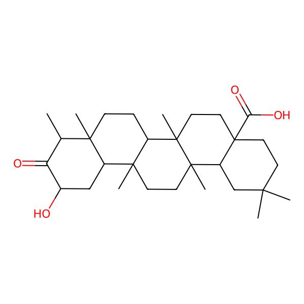 2D Structure of 11-hydroxy-2,2,6a,6a,8a,9,14a-heptamethyl-10-oxo-3,4,5,6,6b,7,8,9,11,12,12a,13,14,14b-tetradecahydro-1H-picene-4a-carboxylic acid 2D Structure of 11-hydroxy-2,2,6a,6a,8a,9,14a-heptamethyl-10-oxo-3,4,5,6,6b,7,8,9,11,12,12a,13,14,14b-tetradecahydro-1H-picene-4a-carboxylic acid