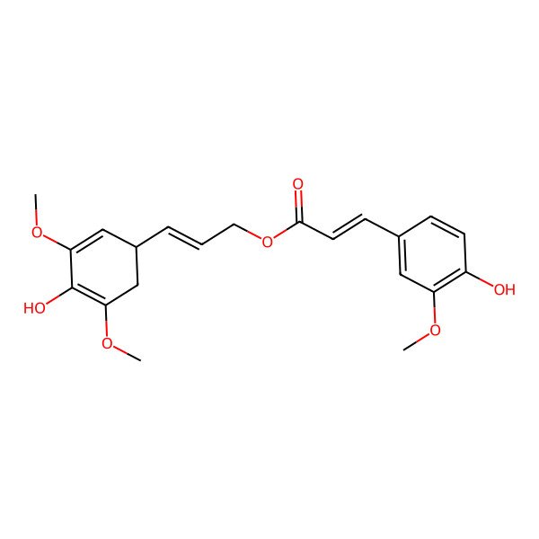 2D Structure of [(E)-3-(4-hydroxy-3,5-dimethoxycyclohexa-2,4-dien-1-yl)prop-2-enyl] (E)-3-(4-hydroxy-3-methoxyphenyl)prop-2-enoate