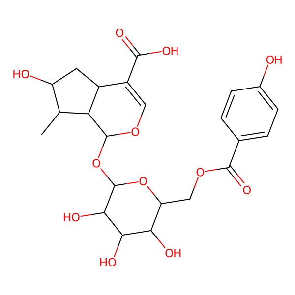 2D Structure of 6-Hydroxy-7-methyl-1-[3,4,5-trihydroxy-6-[(4-hydroxybenzoyl)oxymethyl]oxan-2-yl]oxy-1,4a,5,6,7,7a-hexahydrocyclopenta[c]pyran-4-carboxylic acid