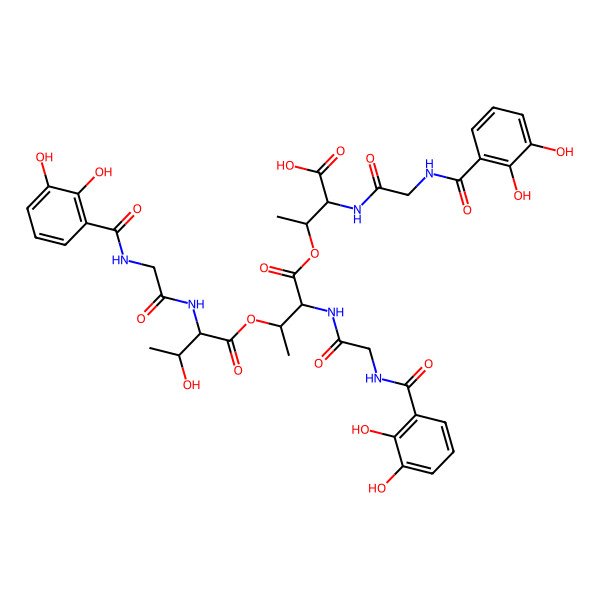 2D Structure of Bacillibactin B