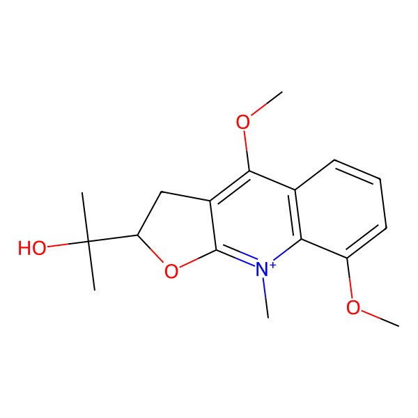 2D Structure of Balfourodinium
