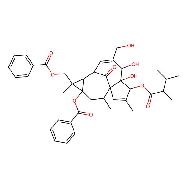 2D Structure of [(1S,4S,5S,6R,9S,10R,11R,12S,14R)-12-benzoyloxy-4-[(2R)-2,3-dimethylbutanoyl]oxy-5,6-dihydroxy-7-(hydroxymethyl)-3,11,14-trimethyl-15-oxo-11-tetracyclo[7.5.1.01,5.010,12]pentadeca-2,7-dienyl]methyl benzoate