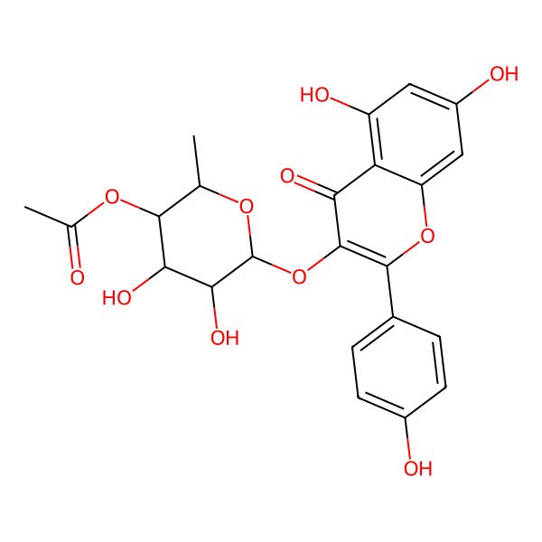 2D Structure of [(2S,3R,4S,5S,6S)-6-[5,7-dihydroxy-2-(4-hydroxyphenyl)-4-oxochromen-3-yl]oxy-4,5-dihydroxy-2-methyloxan-3-yl] acetate