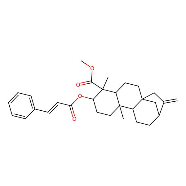 2D Structure of methyl (1S,4S,5S,6S,9S,10S,13R)-5,9-dimethyl-14-methylidene-6-[(E)-3-phenylprop-2-enoyl]oxytetracyclo[11.2.1.01,10.04,9]hexadecane-5-carboxylate