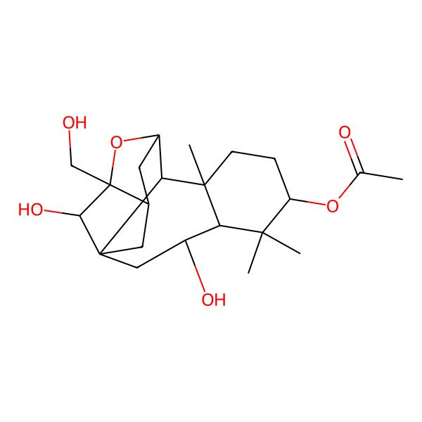 2D Structure of [(1S,3S,4S,6S,9R,10S,11S,13S,14S,16S)-3,16-dihydroxy-13-(hydroxymethyl)-5,5,9-trimethyl-12-oxapentacyclo[11.2.1.111,14.01,10.04,9]heptadecan-6-yl] acetate