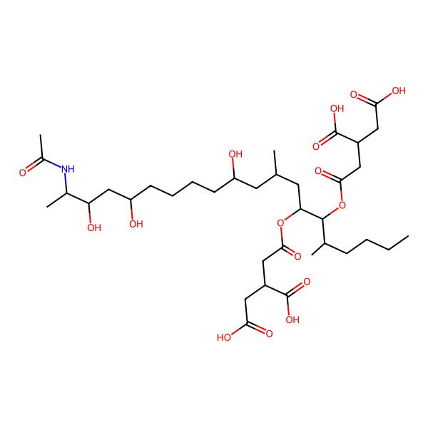 2D Structure of 2-[2-[19-Acetamido-6-(3,4-dicarboxybutanoyloxy)-11,16,18-trihydroxy-5,9-dimethylicosan-7-yl]oxy-2-oxoethyl]butanedioic acid
