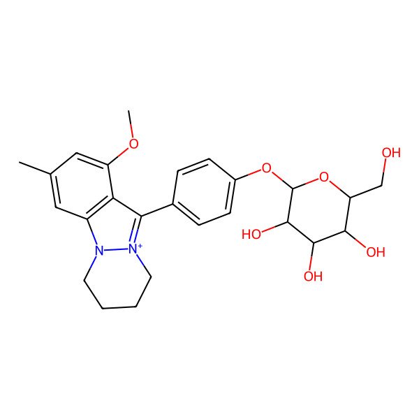 2D Structure of (2R,3S,4S,5R,6S)-2-(hydroxymethyl)-6-[4-(1-methoxy-3-methyl-6,7,8,9-tetrahydropyridazino[1,2-a]indazol-10-ium-11-yl)phenoxy]oxane-3,4,5-triol