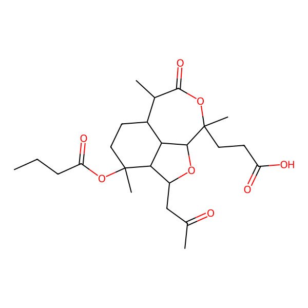 2D Structure of 3-[(1S,3S,4R,5R,8R,9R,12S,13S)-5-butanoyloxy-5,9,12-trimethyl-10-oxo-3-(2-oxopropyl)-2,11-dioxatricyclo[6.4.1.04,13]tridecan-12-yl]propanoic acid