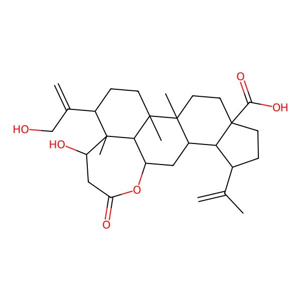 2D Structure of (1R,2R,5S,8R,9S,10R,12R,16R,17S,18S,21S)-16-hydroxy-18-(3-hydroxyprop-1-en-2-yl)-1,2,17-trimethyl-14-oxo-8-prop-1-en-2-yl-13-oxapentacyclo[10.8.1.02,10.05,9.017,21]henicosane-5-carboxylic acid