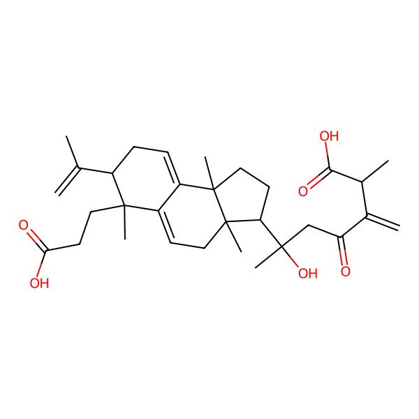 2D Structure of 6-[6-(2-Carboxyethyl)-3a,6,9b-trimethyl-7-prop-1-en-2-yl-1,2,3,4,7,8-hexahydrocyclopenta[a]naphthalen-3-yl]-6-hydroxy-2-methyl-3-methylidene-4-oxoheptanoic acid