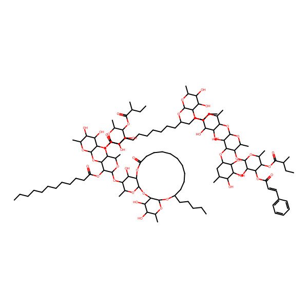2D Structure of [2-[3-[3,4-Dihydroxy-6-methyl-5-(2-methylbutanoyloxy)oxan-2-yl]oxy-5-dodecanoyloxy-2-methyl-6-[(7,25,26-trihydroxy-5,24-dimethyl-10-oxo-20-pentyl-2,4,9,21,23-pentaoxatricyclo[20.4.0.03,8]hexacosan-6-yl)oxy]oxan-4-yl]oxy-4,5-dihydroxy-6-methyloxan-3-yl] 11-[3-[3,4-dihydroxy-5-[3-hydroxy-5-[3-hydroxy-6-methyl-5-(2-methylbutanoyloxy)-4-(3-phenylprop-2-enoyloxy)oxan-2-yl]oxy-6-methyl-4-(2,3,4-trihydroxy-5-methylcyclohexyl)oxyoxan-2-yl]oxy-6-methyloxan-2-yl]oxy-4,5-dihydroxy-6-methyloxan-2-yl]oxyhexadecanoate