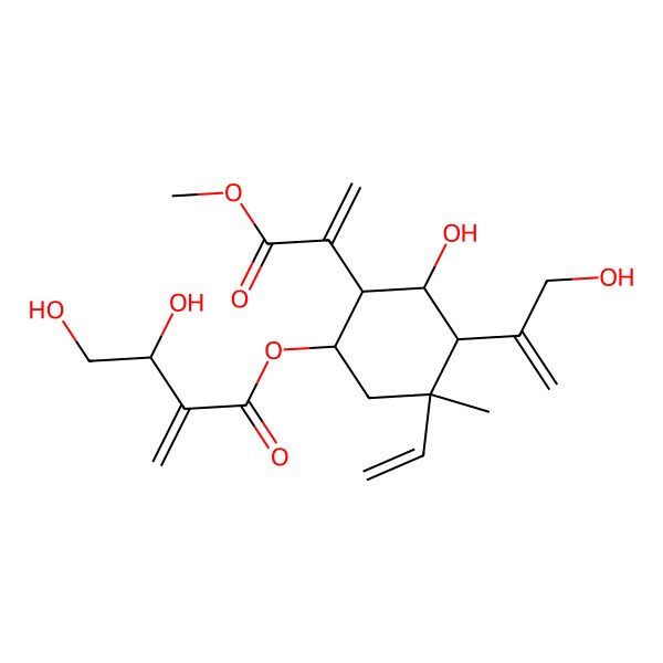 2D Structure of (5-Ethenyl-3-hydroxy-4-(3-hydroxyprop-1-en-2-yl)-2-(3-methoxy-3-oxoprop-1-en-2-yl)-5-methylcyclohexyl) 3,4-dihydroxy-2-methylidenebutanoate