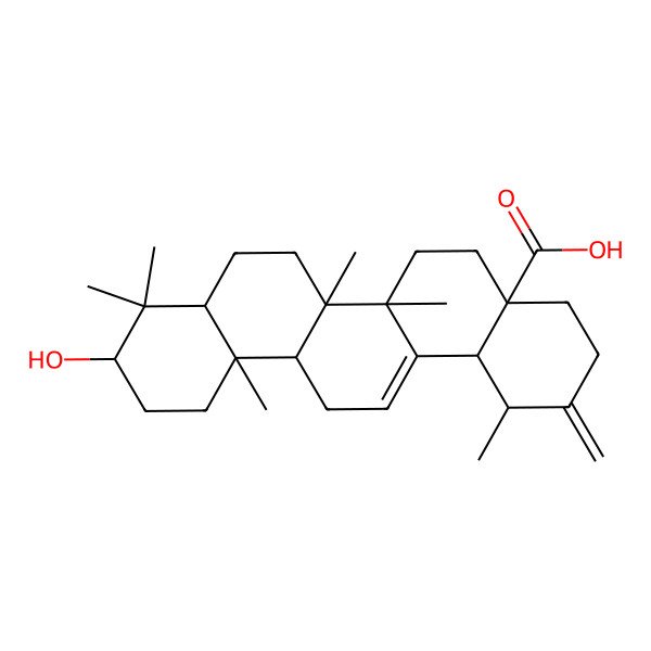 2D Structure of 10-Hydroxy-1,6a,6b,9,9,12a-hexamethyl-2-methylidene-1,3,4,5,6,6a,7,8,8a,10,11,12,13,14b-tetradecahydropicene-4a-carboxylic acid