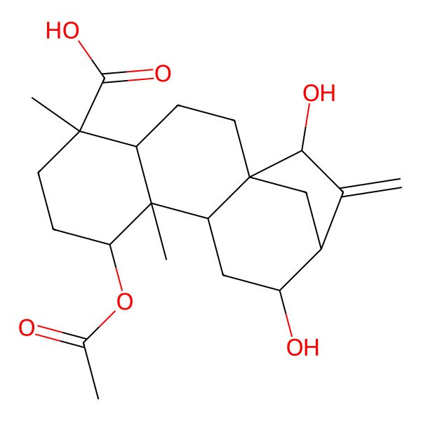 2D Structure of (1S,4R,5S,8R,9R,10S,12S,13S,15S)-8-acetyloxy-12,15-dihydroxy-5,9-dimethyl-14-methylidenetetracyclo[11.2.1.01,10.04,9]hexadecane-5-carboxylic acid