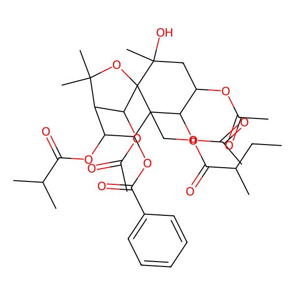 2D Structure of [(1S,2S,4S,5R,6S,7R,8R,9R,12R)-4,5,12-triacetyloxy-2-hydroxy-2,10,10-trimethyl-6-[[(2R)-2-methylbutanoyl]oxymethyl]-8-(2-methylpropanoyloxy)-11-oxatricyclo[7.2.1.01,6]dodecan-7-yl] benzoate