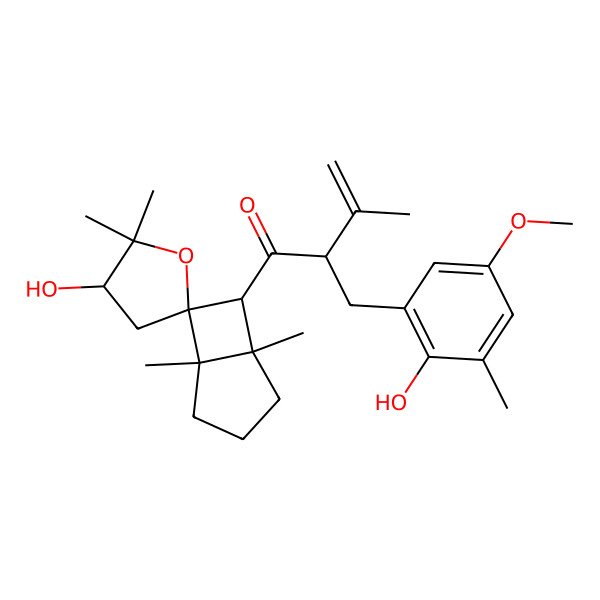 2D Structure of 2-[(2-Hydroxy-5-methoxy-3-methylphenyl)methyl]-1-(3'-hydroxy-1,2',2',5-tetramethylspiro[bicyclo[3.2.0]heptane-7,5'-oxolane]-6-yl)-3-methylbut-3-en-1-one
