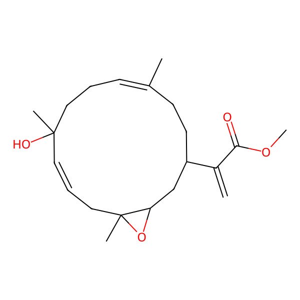 2D Structure of methyl 2-[(1R,3S,6E,10R,11E,14R)-10-hydroxy-6,10,14-trimethyl-15-oxabicyclo[12.1.0]pentadeca-6,11-dien-3-yl]prop-2-enoate