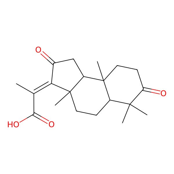 2D Structure of 2-[(3aS,5aR,9aR,9bS)-3a,6,6,9a-tetramethyl-2,7-dioxo-4,5,5a,8,9,9b-hexahydro-1H-cyclopenta[a]naphthalen-3-ylidene]propanoic acid