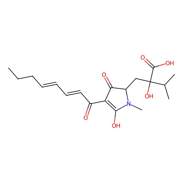 2D Structure of 2-hydroxy-2-[[5-hydroxy-1-methyl-4-[(2E,4E)-octa-2,4-dienoyl]-3-oxo-2H-pyrrol-2-yl]methyl]-3-methylbutanoic acid