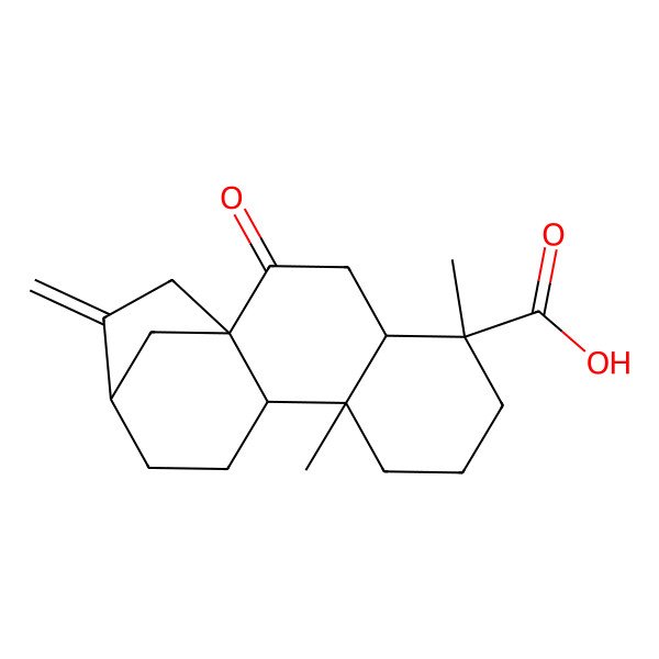 2D Structure of (1R,4S,5R,9S,10S,13R)-5,9-dimethyl-14-methylidene-2-oxotetracyclo[11.2.1.01,10.04,9]hexadecane-5-carboxylic acid