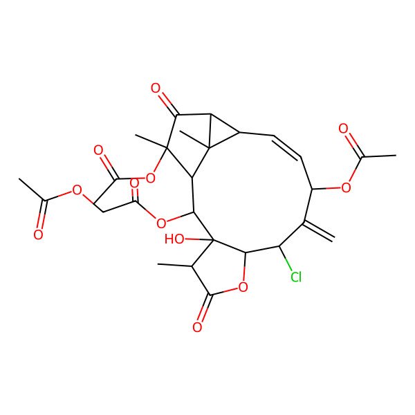 2D Structure of [(1R,2R,3E,5S,7S,8R,11R,12R,13R,14S,15S,17R)-5,15-diacetyloxy-7-chloro-12-hydroxy-1,11,15-trimethyl-6-methylidene-10,16-dioxo-9-oxatetracyclo[12.3.0.02,17.08,12]heptadec-3-en-13-yl] 2-acetyloxyacetate