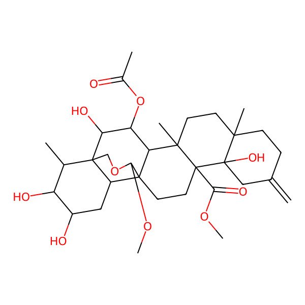 2D Structure of methyl (1S,2S,3S,4R,5R,8R,13S,14S,17S,18R,20R,21R,22R,25S)-3-acetyloxy-2,13,20,21-tetrahydroxy-25-methoxy-5,8,22-trimethyl-11-methylidene-24-oxahexacyclo[15.5.3.01,18.04,17.05,14.08,13]pentacosane-14-carboxylate