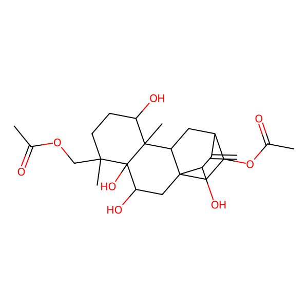 2D Structure of [(1S,3R,4S,5S,8R,9R,10R,12R,14R,16S)-16-acetyloxy-3,4,8,14-tetrahydroxy-5,9-dimethyl-13-methylidene-5-tetracyclo[10.2.2.01,10.04,9]hexadecanyl]methyl acetate