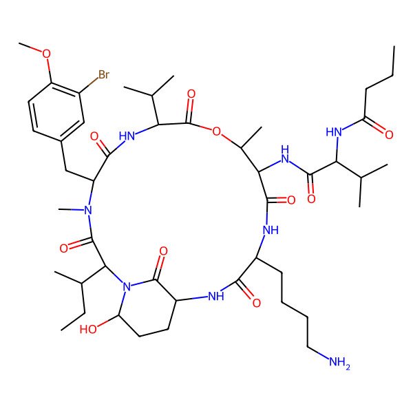 2D Structure of N-[(2S,5S,8S,11R,12S,15S,18R,21R)-15-(4-aminobutyl)-5-(3-bromo-4-methoxybenzyl)-2-[(2R)-butan-2-yl]-21-hydroxy-4,11-dimethyl-3,6,9,13,16,22-hexaoxo-8-(propan-2-yl)-10-oxa-1,4,7,14,17-pentaazabicyclo[16.3.1]docos-12-yl]-N(2)-butanoyl-L-valinamide