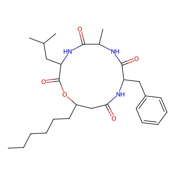 2D Structure of Beauverolides