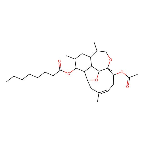 2D Structure of [(1R,2R,3S,4S,5S,7R,8S,11R,12S,14E,17R)-12-acetyloxy-5,8,11,15-tetramethyl-10,18-dioxatetracyclo[9.7.0.02,7.03,17]octadec-14-en-4-yl] octanoate