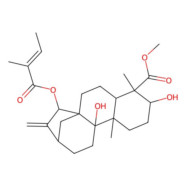 2D Structure of methyl (1S,4S,5S,6S,9R,10R,13R,15S)-6,10-dihydroxy-5,9-dimethyl-15-[(E)-2-methylbut-2-enoyl]oxy-14-methylidenetetracyclo[11.2.1.01,10.04,9]hexadecane-5-carboxylate